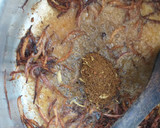 A picture of step 4 of Mutton Pilau#Arabic contest.