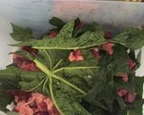 Foto langkah ke 1 dari resep Sate Sapi Maranggi Khas Purwakarta.