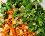 Salat aus Möhre Frühlingszwiebel und Feldsalat Rezeptschritt 4 Foto