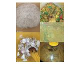A picture of step 1 of Vermicelli Veg Biryani.