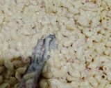 Foto langkah ke 4 dari resep Macaroni schotel.