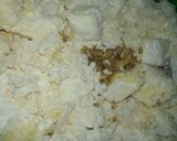 Foto del paso 2 de la receta: Tarta de Ricota
