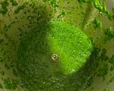 Foto del paso 4 de la receta: Crema de espárragos verdes con espinacas