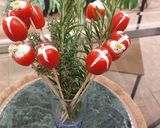 Une image de l'étape 5 de Fleurs de tomates cerise.
