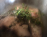 Foto del paso 3 de la receta: Cordero al calvados, con patatas, cebolla.....y aroma de tomillo