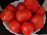 टोमॅटो सॉस (tomato sauce recipe in marathi)