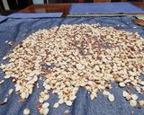 Foto del paso 2 de la receta: Dulce de maní