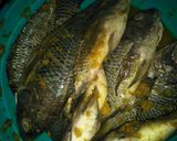 Foto langkah ke 2 dari resep Ikan Mujair goreng tepung.