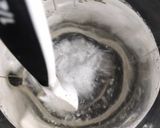 Foto del paso 1 de la receta: Mostaza fermentada