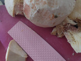 Keripik Sukun