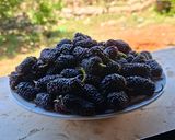 صورة لخطوة 1 من وصفة عصير التوت الشامي