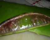 Foto del paso 7 de la receta: Aromática de Hierbas a lo Carmelita
