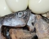 Gambar langkah 1 resipi Gulai ikan tongkol terengganu.