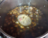 Foto del paso 8 de la receta: Caracoles en salsa de hierbas aromáticas y plantas medicinales