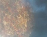 Foto del paso 3 de la receta: Empanadas con soja texturizada