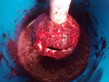 Helado de Guindas
