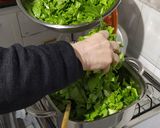 Foto del paso 1 de la receta: Esponja de verdura