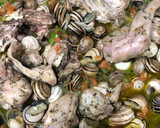 Foto del paso 3 de la receta: 88. Arroz con conejo y caracoles (principal paella)