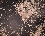 Foto del paso 1 de la receta Arroz pipián rojo con cerdo y calabaza