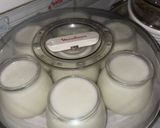 Foto del paso 6 de la receta: Yogurt Natural Extra Firme en Yoghurtera Moulinex
