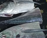 Foto langkah ke 1 dari resep Ikan Cencaru Panggang Teflon Siram Sambal.