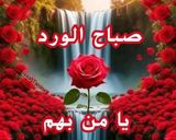 صورة لخطوة 9 من وصفة كباب منزلي بلحم الغنم والبقر على الطريقة التركية طعم روووعة