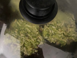Mini tortillas de brócoli, apto Keto y deliciosas!