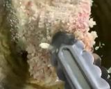 รูปขั้นตอนการทำที่ 4 ของ ข้าวแกงกะหรี่ญี่ปุ่นกับหมูทอดทงคัตซึ🍛