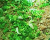 A picture of step 4 of Veg momos.