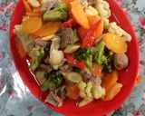 Foto langkah ke 4 dari resep Ca sayur no msg.