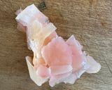 Une image de l'étape 1 de Bœufs aux oignons inspiration et saveurs asiatiques.