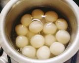 A picture of step 1 of Rasgulla (Halwai style chana Rasgulla).