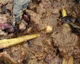 Foto langkah ke 6 dari resep Rendang Sapi Kaya Rempah.