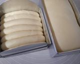 Foto langkah ke 3 dari resep Milk Bread / Resep dasar roti / roti tawar tanpa telur.