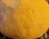 Foto del paso 2 de la receta: Pastafrola!!