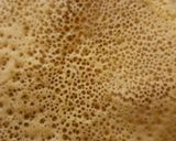 صورة لخطوة 2 من وصفة بغرير