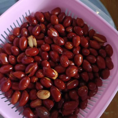 Langkah 1