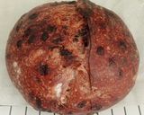 Foto langkah ke 21 dari resep Double Chocolate Sourdough Bread (82%).