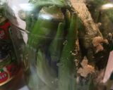 A picture of step 2 of Pickled Okra 2024 Easy Batch.