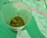 Foto del paso 6 de la receta: Mojito