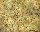 A picture of step 3 of Besan cheela.