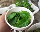 Foto langkah ke 1 dari resep Teh Mint Murni/ Pure Mint Tea (Tanpa tambahan Teh).