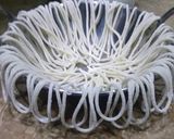 A picture of step 3 of Sepgahti basket #fastfood.