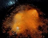 A picture of step 3 of Dahi Vada.