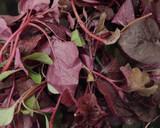 A picture of step 1 of Chaulai / Amaranth Saag.