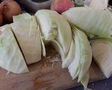 Sig's my kind of Sauerkraut recipe step 2 photo