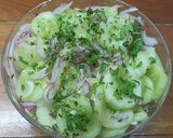 Foto del paso 7 de la receta: Pseudo-encurtido de pepino y cebolla roja