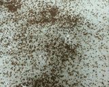 صورة لخطوة 4 من وصفة حلى السومية