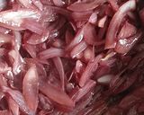 Foto del paso 3 de la receta: Cebolla Caramelizada al Malbec