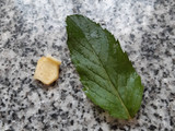 Agua saborizada de menta, limón y jengibre 🇺🇾
